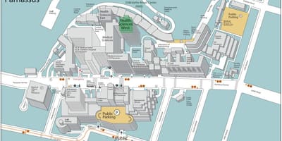 San franciscó-i egyetemen parnassus campus anya
